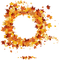 fall autumn leaf leaves feuille wreath - png gratuito GIF animata