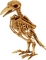 skeleton by nataliplus - bezmaksas png animēts GIF