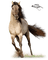 Koń - Free PNG Animated GIF