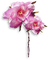 flowers - zadarmo png animovaný GIF