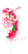Cluster.Ribbon.Roses.White.Pink - png gratis GIF animasi