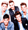 One Direction milla1959 - kostenlos png Animiertes GIF