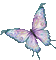 Papillon Butterfly - Nemokamas animacinis gif animuotas GIF