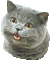 happycat - 無料のアニメーション GIF