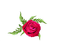 rose - PNG gratuit GIF animé