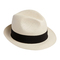 chapeau chic - Free PNG Animated GIF