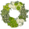 Kaz_Creations Deco Flowers Flower Wreath Colours - δωρεάν png κινούμενο GIF