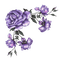 kikkapink deco overlay purple petal flowers