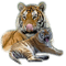 tigre - zdarma png animovaný GIF