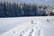 Winter - nemokama png animuotas GIF