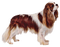 Tournesol94 chien - gratis png animerad GIF