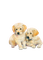 puppy - zadarmo png animovaný GIF