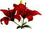 Цветок - nemokama png animuotas GIF