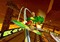 Sonic Riders - GIF animé gratuit