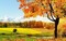 Kaz_Creations Backgrounds Background Autumn - безплатен png анимиран GIF