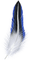 feather - безплатен png анимиран GIF