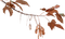 autumn branch - Free PNG Animated GIF