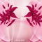 bg-background--pink--rosa----flowers--blommor - PNG gratuit GIF animé