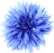 Flower blue - Free PNG Animated GIF