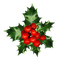 houx - Free PNG Animated GIF