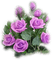 Tube-flower - gratis png geanimeerde GIF