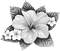 soave deco summer tropical flowers black white - безплатен png анимиран GIF