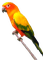 kathia - Free PNG Animated GIF