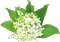 soave deco flowers spring lily of the valley white - PNG gratuit GIF animé