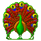 Peacock. Leila - Zdarma animovaný GIF animovaný GIF