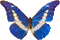 Papillon animé bleu