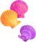 Seashells.Pink.Purple.Orange - nemokama png animuotas GIF