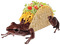taco frog - png gratuito GIF animata