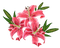 Kaz_Creations Flowers Flower - Free PNG Animated GIF