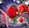 ROSES - kostenlos png Animiertes GIF