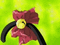 Ichigo's check - GIF animé gratuit GIF animé