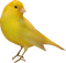 animaux - Free PNG Animated GIF