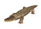 nature crocodile-NitsaPap - Ücretsiz animasyonlu GIF animasyonlu GIF
