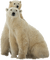 Kaz_Creations Animals Animal Polar Bears - png gratuito GIF animata