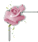 Rose - 無料のアニメーション GIF アニメーションGIF