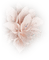 fleur/flower - bezmaksas png animēts GIF