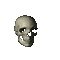 rotating skull - Безплатен анимиран GIF анимиран GIF