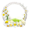 Daisies.Frame.White.Yellow - 免费PNG 动画 GIF
