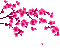 pink flower branche gif rose fleur branche - GIF animado gratis GIF animado