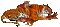 tigre - Ingyenes animált GIF animált GIF