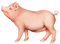 Kaz_Creations Animals Pig - безплатен png анимиран GIF