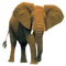Kaz_Creations Elephants Elephant - δωρεάν png κινούμενο GIF