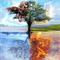 MMarcia paisagem reflexo fundo - png gratis GIF animado