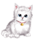 Vanessa Valo _crea=white cat glitter