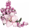 Fleurs - nemokama png animuotas GIF