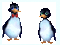 pingouin - Бесплатный анимированный гифка анимированный гифка